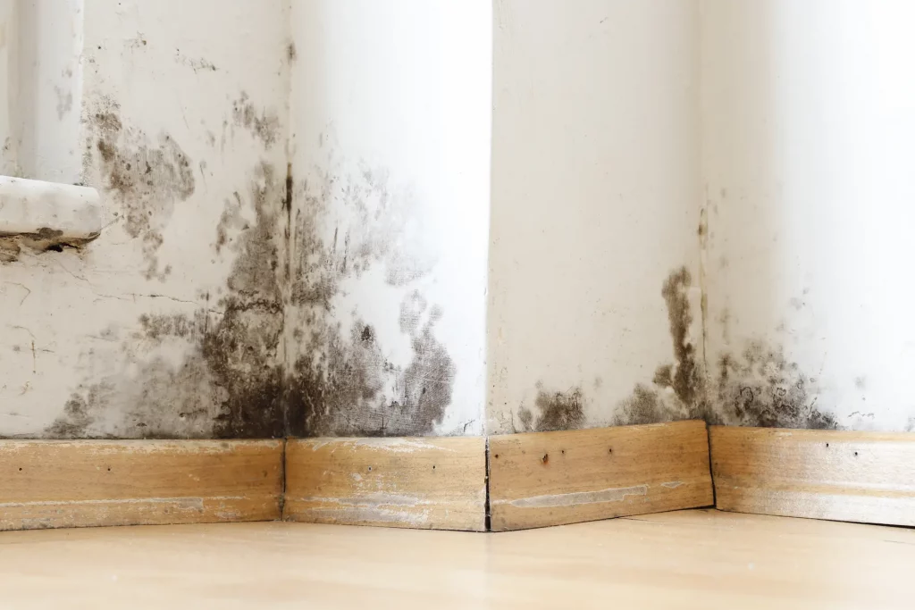 traitement-remontees-capillaires-mur
